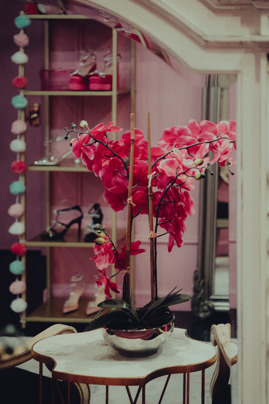 Stylish interior with pink orchids and fashionable shoes in a chic store setting.