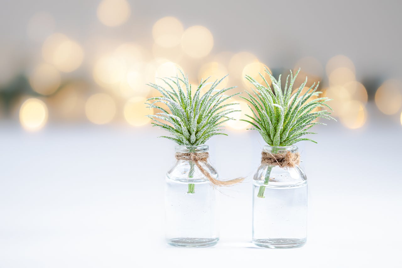 why-choose-us Two small decorative plants in glass bottles create a serene minimalist decor with warm bokeh lights.