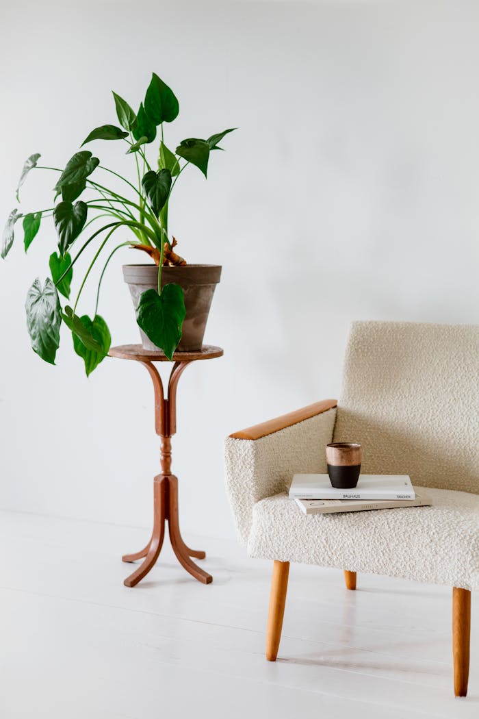 services-02 A stylish indoor setting showcasing a minimalist armchair, books, and a potted plant.